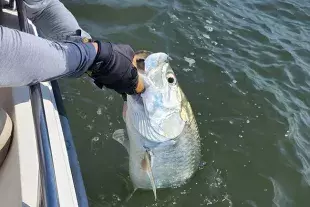 Harvest Moon Fishing Charters Photo