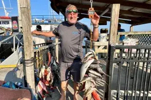 Crazy Sister Marina & Fishing Fleet Photo