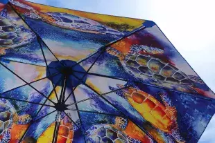East Coast Umbrella Photo