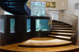 Horry County Museum Photo