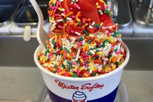Mister Softee of Horry County Photo