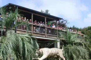 Myrtle Beach Safari Photo