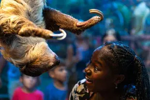 Ripley's Aquarium of Myrtle Beach Photo