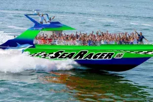 Sea Racer Dolphin Tours Photo