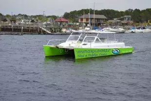 Southern Shores Island & Dolphin Cruises Photo