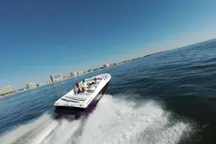 Southern Shores Island & Dolphin Cruises Photo