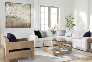 Ethan Allen Photo
