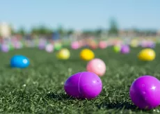 Easter Eggs laying on a field for an easter egg hunt