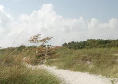 Sandy beach path at Huntington beach state park
