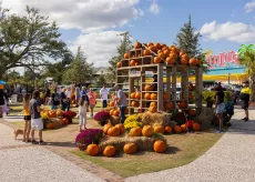 Boofest at Barefoot Landing with pumpkins