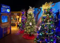 Ripley's Festival of Trees