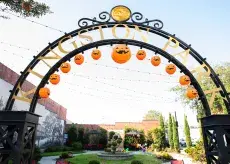 Conway Downtown Halloween