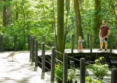 Brookgreen Gardens Lowcountry Zoo