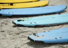 Surfboards in a line on the beach.