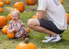 Fall Harvest Festival