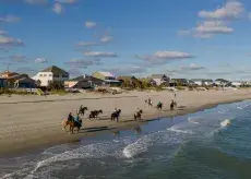 Horseback Riding in Myrtle Beach