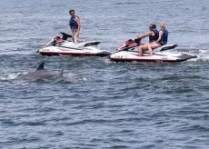 Jet Ski Dolphin Tours