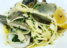 Clam Linguine