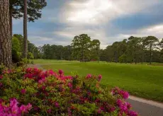 Myrtle Beach Golf Directors