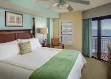 Island Vista Photo 2