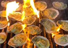 Oysters on the grill