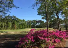 River Oaks Golf Club