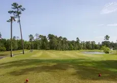 Tupelo Golf green