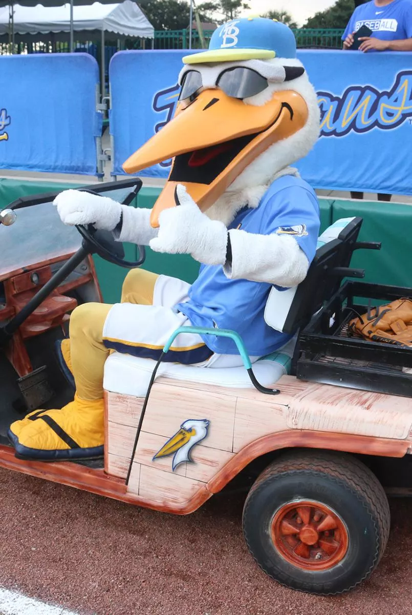 Pelicans Baseball Mascot