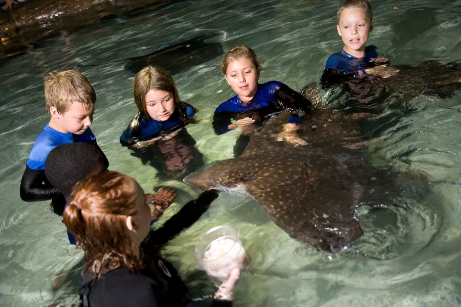 Ripley's Aquarium, Myrtle Beach, SC