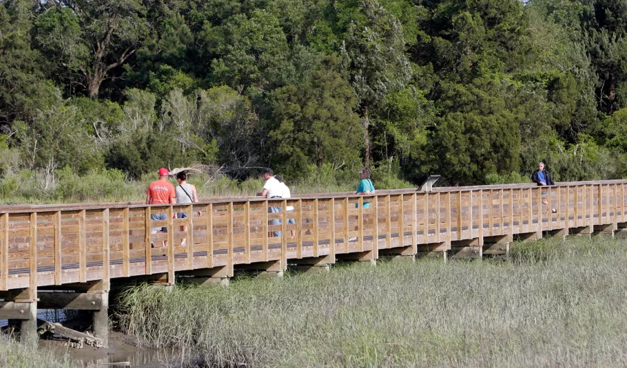 Huntington Beach State Park viewing boardwalk