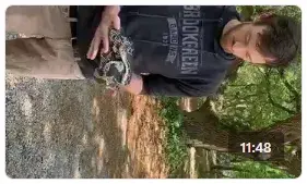 From the Zoo: Ninja the Northern Pine Snake