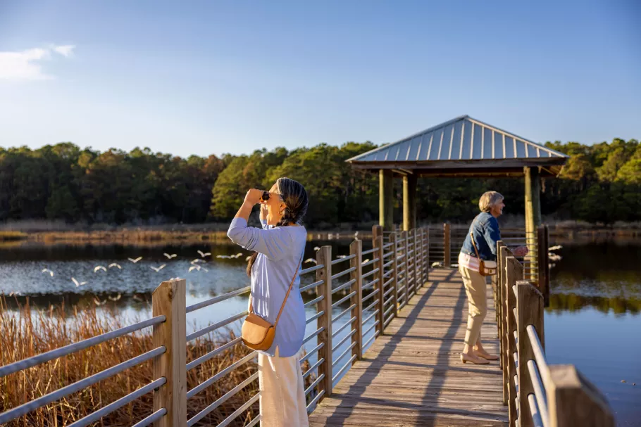 Bird Watching at Huntington Beach State Park