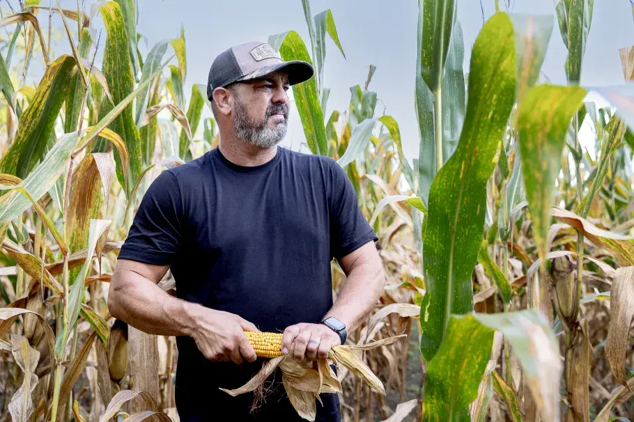 man in crops