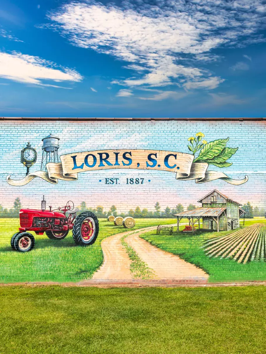 Loris Mural