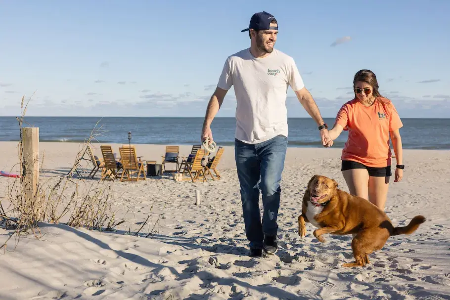 Beach Easy Dog Walk