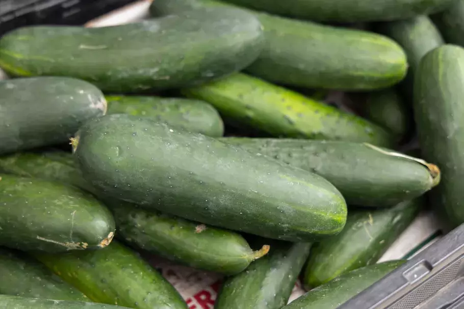 Market Common Farmers Market Cucumbers