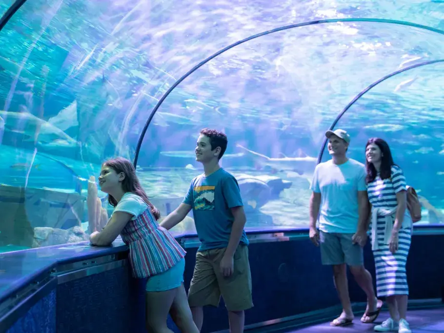 Ripley's Aquarium Myrtle Beach