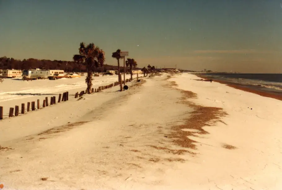 Snow on the Beach 1989