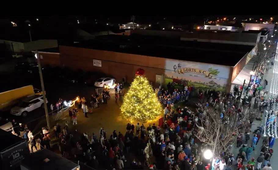 Loris Christmas Tree Lighting