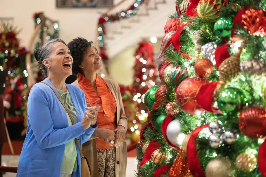 The Carolina Opry Christmas Show