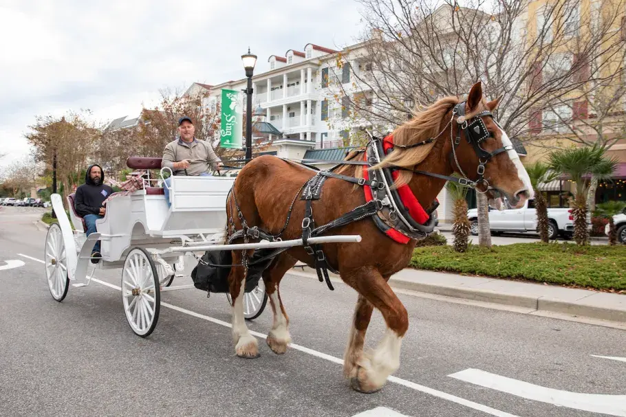 The Market Common Holiday Carriage Rides