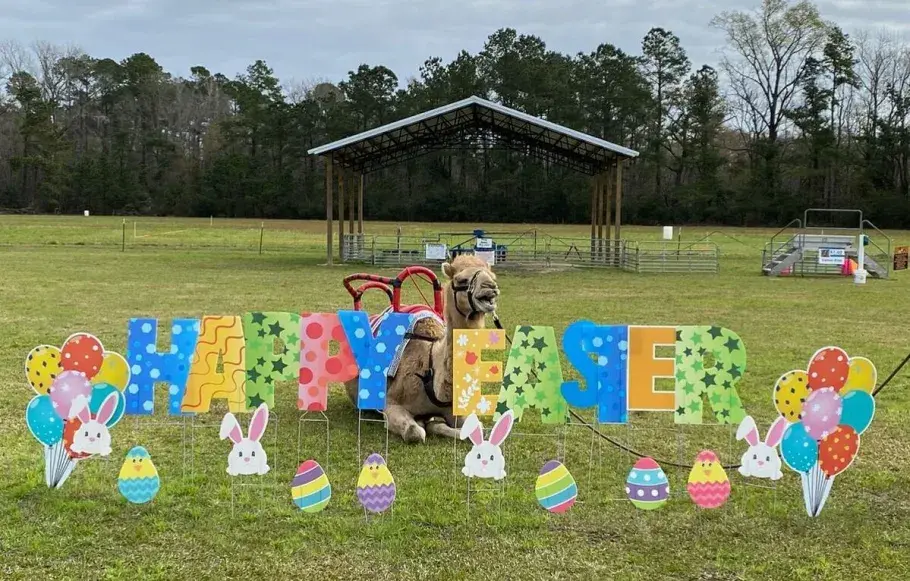 Thompson Farm Easter