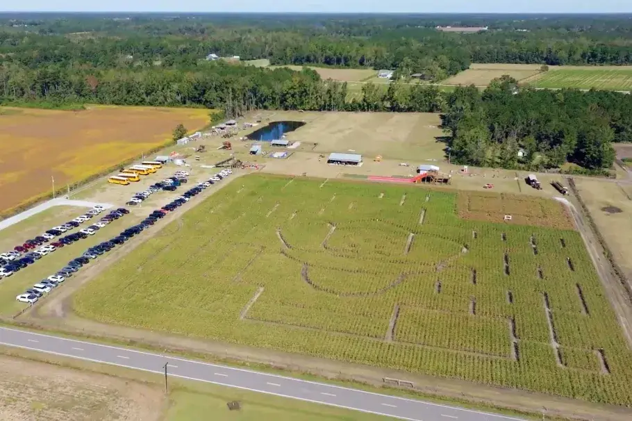 Southern Palmetto Farms Aynor