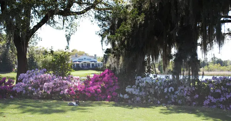 Caledonia Golf &amp; Fish Club