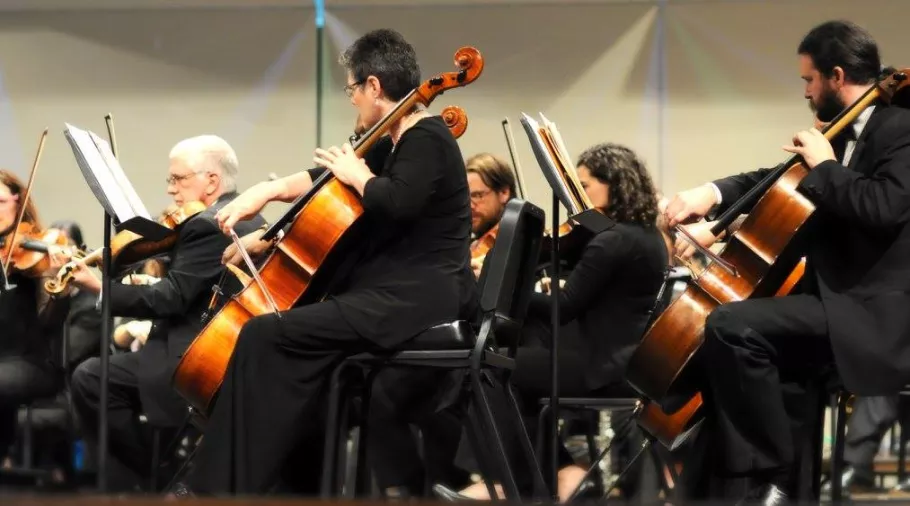 Long Bay Symphony members string section