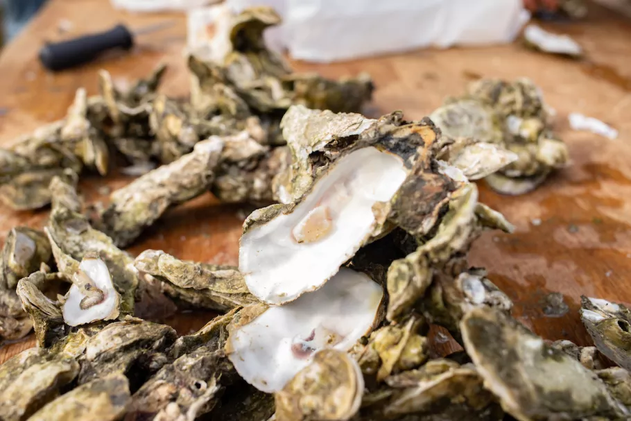 Fresh oysters on a table