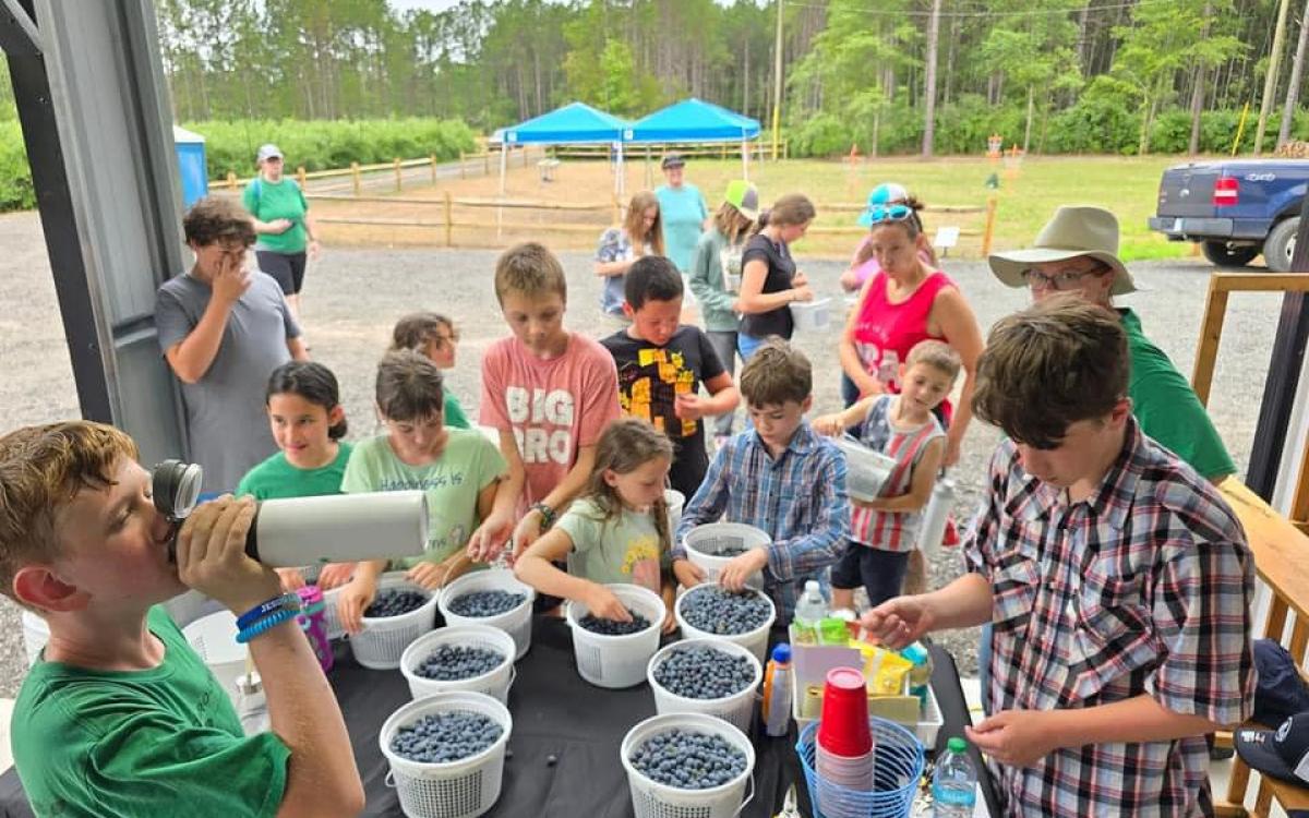 Bonnie Bay Blueberry Farm in Loris