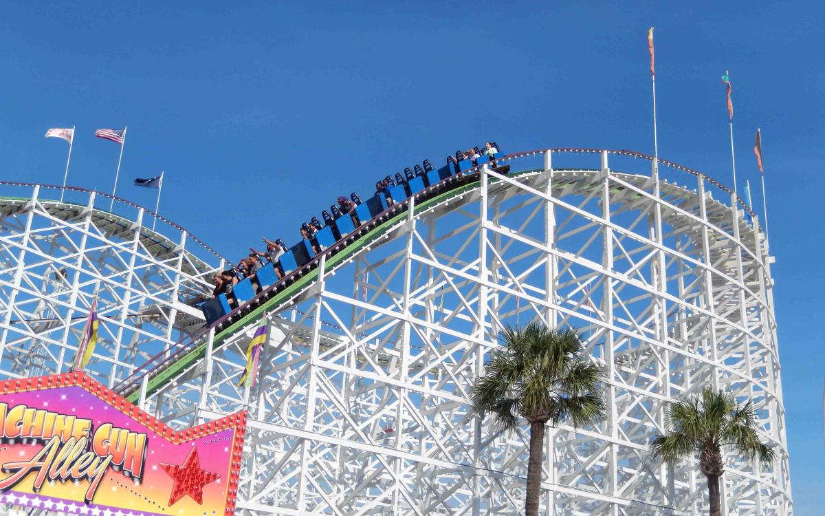 Family Kingdom Swamp Fox