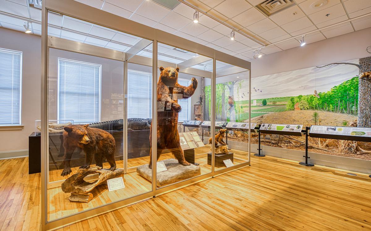 Horry County Museum Photo 5